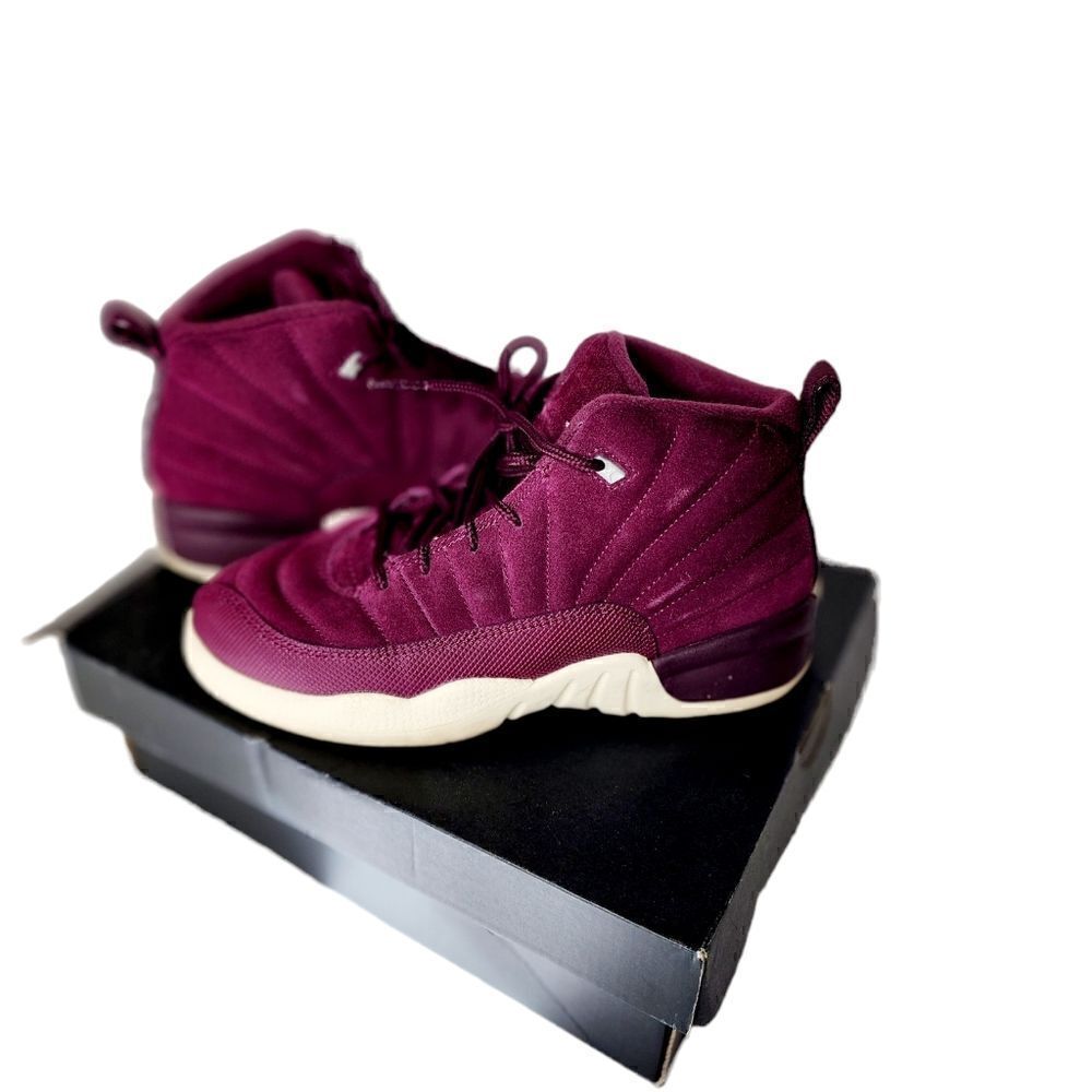 Air Jordan Retro Bordeaux 12's